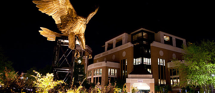 Warhawk statue in library plaza night photo of library and hawk statue